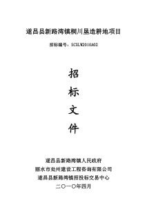 遂昌县新路湾镇桐川垦造耕地项目