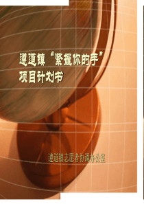遵道镇紧握你的手项目ppt-遵道镇“紧握你的手”项目计划