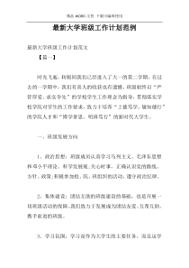 最新大学班级工作计划范例