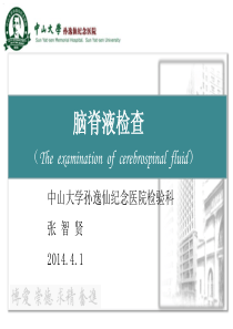 脑脊液检查