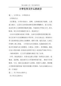 小学生作文什么的启示