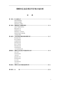 邯郸市五仓区项目可行性计划分析DOC25(1)