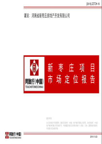郑州枣庄项目定位报告