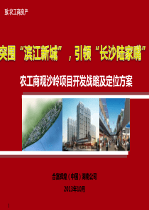 XXXX年10月长沙农工商观沙岭项目开发战略及定位方案