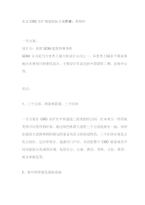 北京CBD东扩规划投标方案9656368174