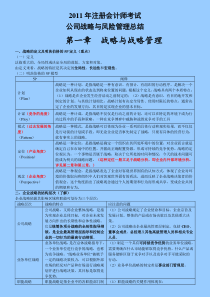 XXXX年CPA公司战略学习总结
