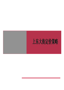 XXXX年上东大街项目定价策略