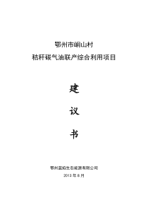 鄂州市峒山村秸秆碳气油联产综合利用项目建议书