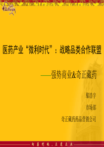 XXXX年度战略合作沟通会