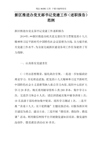 新区推进办党支部书记党建工作（述职报告）范例