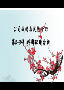 XXXX战略管理2外部环境分析