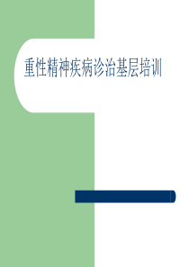重性精神疾病诊治基层项目培训