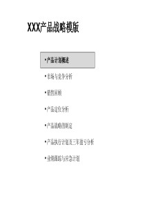 XXX产品战略模版(PPT41页)