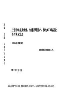 XXX品牌战略报告