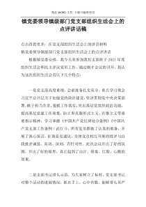 镇党委领导镇级部门党支部组织生活会上的点评讲话稿