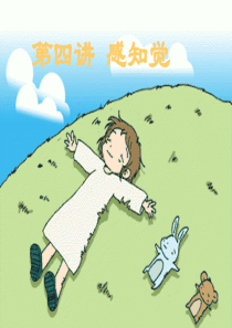 普通心理学-感知觉