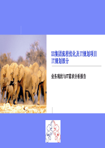 XX公司IT战略规划92651427