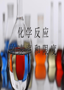 人教版高中化学化学反应的速率和限度-课件2