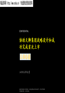 XX集团战略设计和首次上市咨询报告