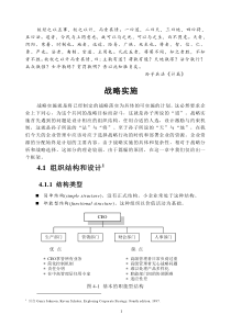 xz战略实施