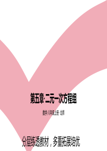 八年级上数学课件第五章二元一次方程组C中考挑战区北师大版