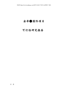 金帝国际项目可行性分析研究报告