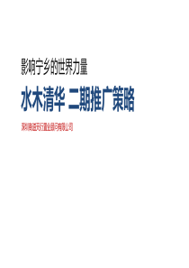 X年水木清华二期推广策略