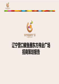 辽宁营口东方伟业广场招商策划报告