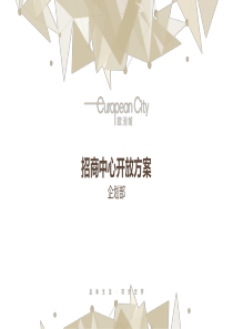 达州时尚奥特莱斯招商中心开放方案（PDF40页）