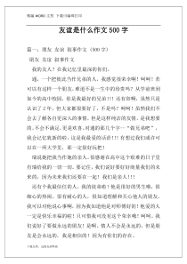 友谊是什么作文500字