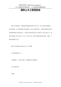 国际土木工程招投标