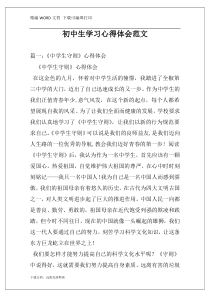 初中生学习心得体会范文