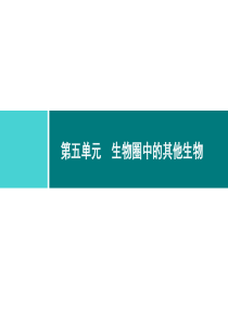 第一章动物的主要类群同步练习课件511