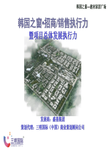 韩国之窗建材家居广场招商执行案