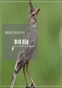 24致云雀课件2021学年高一语文新教材同步备课部编版必修上册共41张PPT