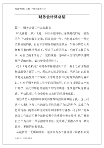 财务会计终总结