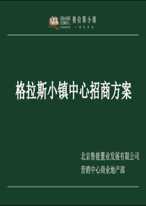 鲁能置业XXXX年北京格拉斯小镇中心招商方案