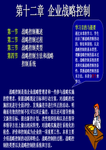 《战略管理EMBA课程》整套教授讲义12