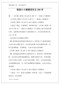 我是小小推销员作文300字
