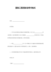 国际工程招标说明书格式