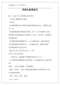用虎头蛇尾造句