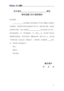 附件06：成立项目发展工作小组的请示