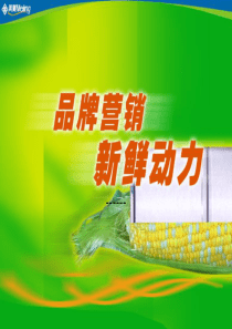 【采纳作品—品牌策略】美菱冰箱品牌策略