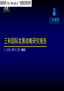 三和国际战略报告宣讲版