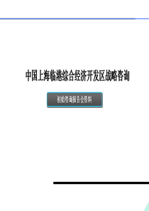 上海临港综合经济开发区战略咨询（PPT 24页）