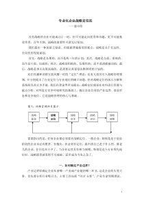专业化企业战略定位法