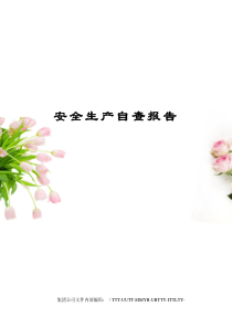 安全生产自查报告