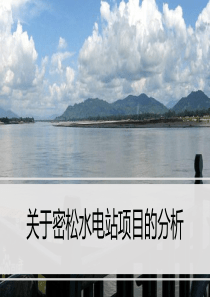 密松水电站项目失败分析报告