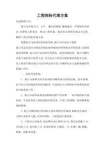 工程招标代理方案