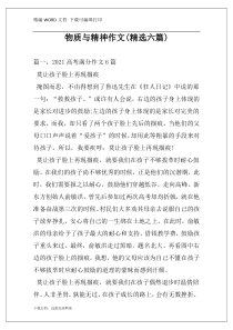 物质与精神作文(精选六篇)